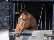 NH051025-78 - Will Carver